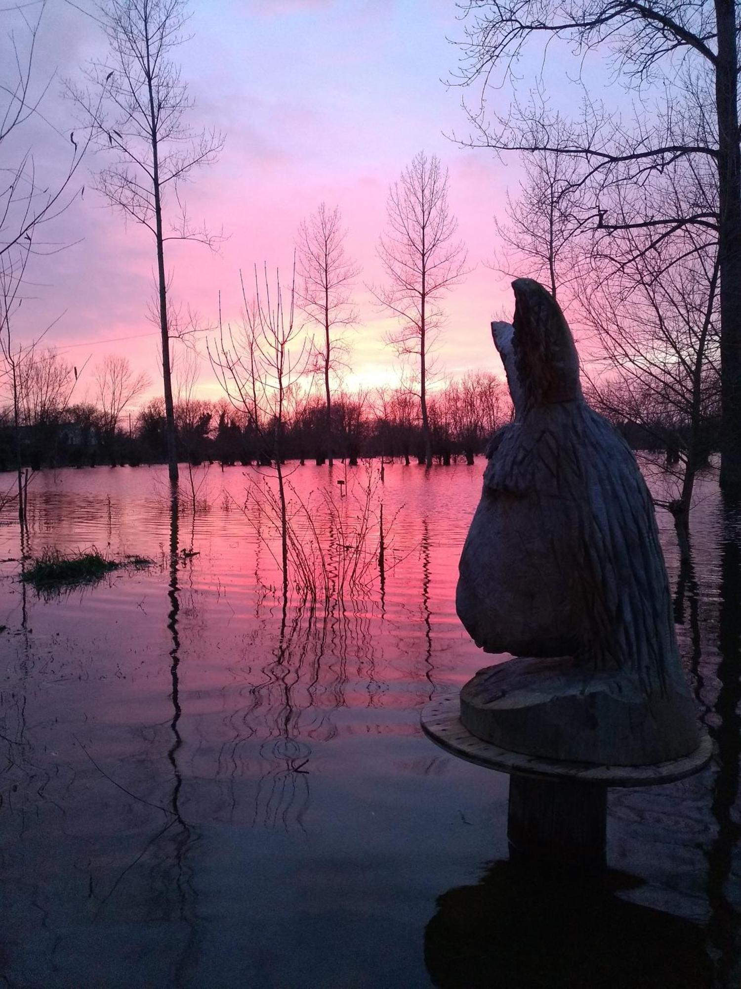 La Ferme Du Marais Poitevin - Roulotte Hotel Benet Kültér fotó