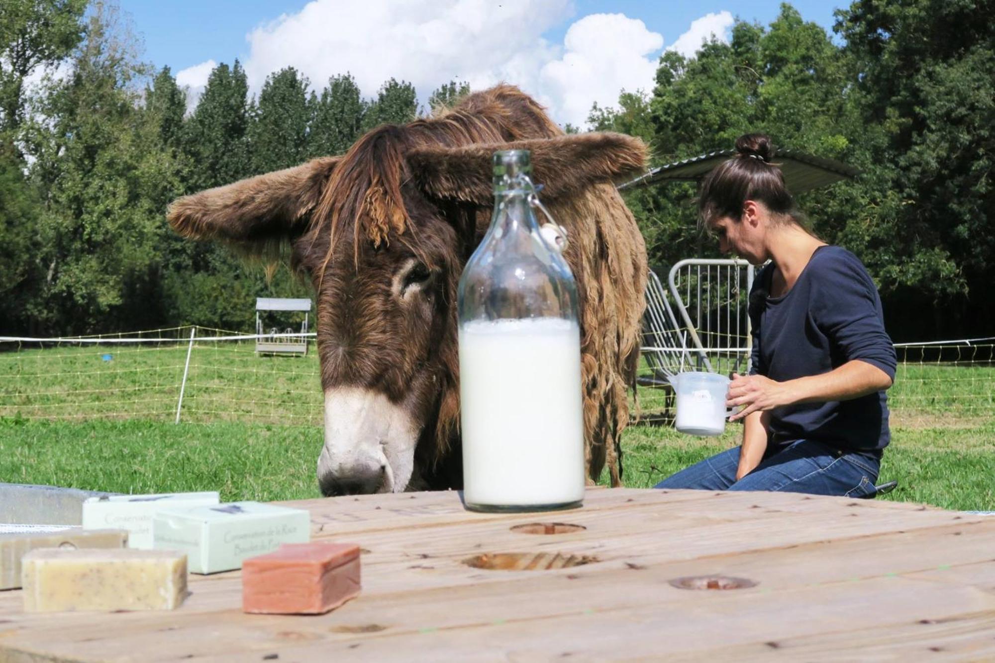 La Ferme Du Marais Poitevin - Roulotte Hotel Benet Kültér fotó