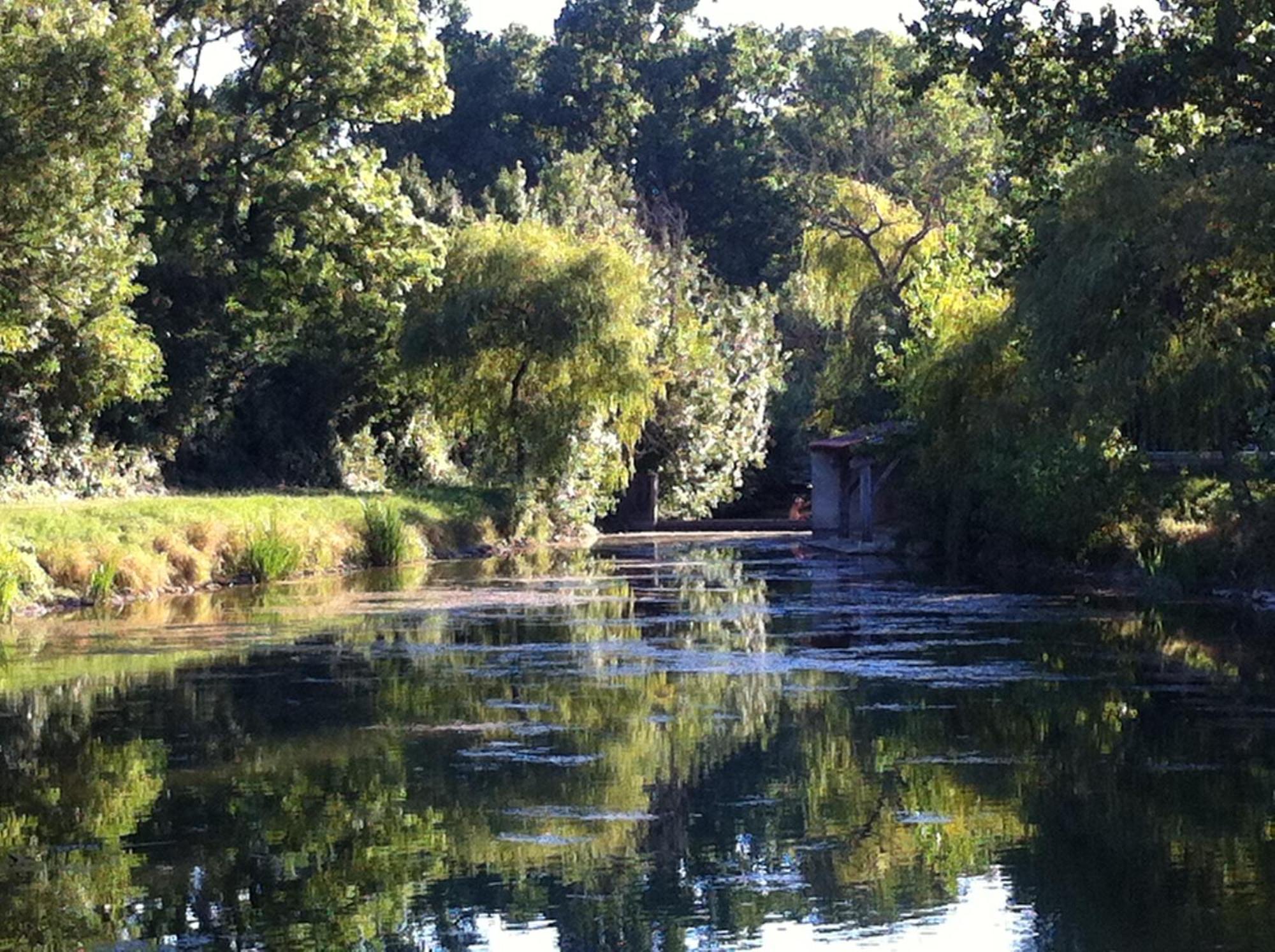 La Ferme Du Marais Poitevin - Roulotte Hotel Benet Kültér fotó